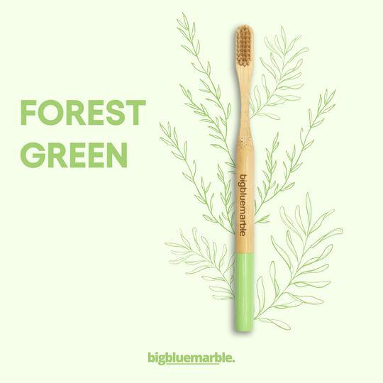 Biodegradable Bamboo Toothbrush