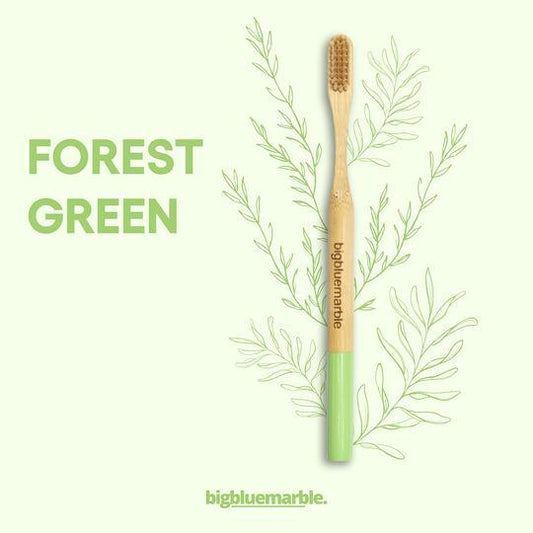Biodegradable Bamboo Toothbrush