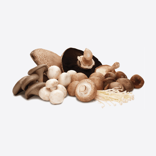 The Mushroom Bundle